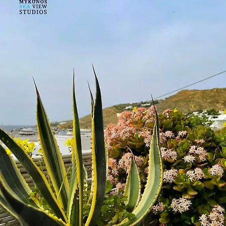 Holiday home Lillies Mykonos Sea View